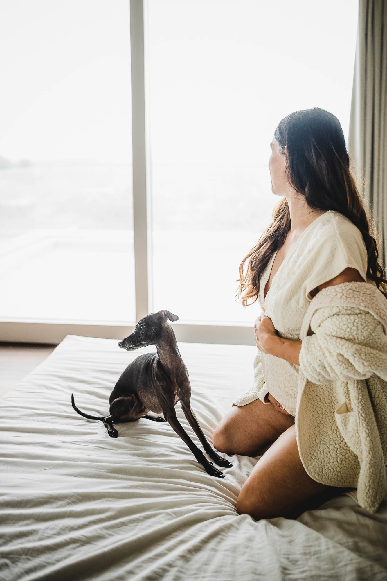 Export x3 1DX26354 Fotoshooting 2020 Zito